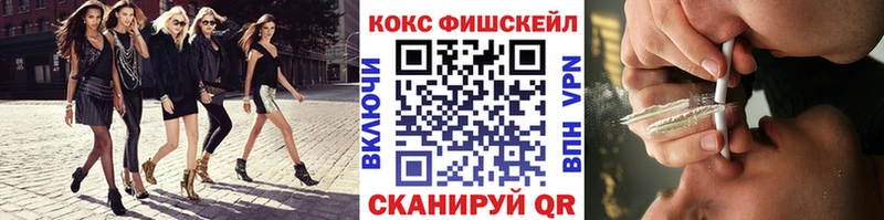 Cocaine FishScale  купить   Судогда 