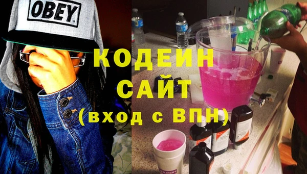 ГАЛЛЮЦИНОГЕННЫЕ ГРИБЫ Семёнов
