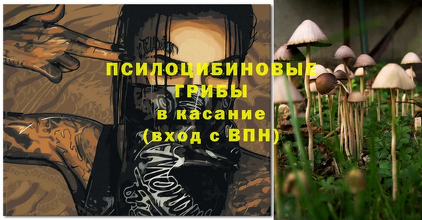 a pvp Снежногорск