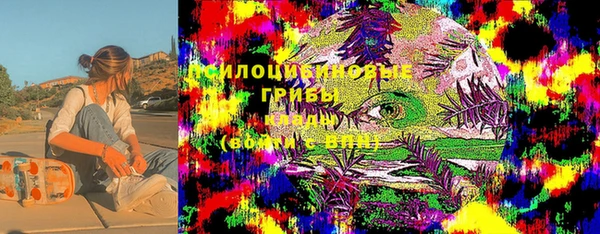винт Слюдянка