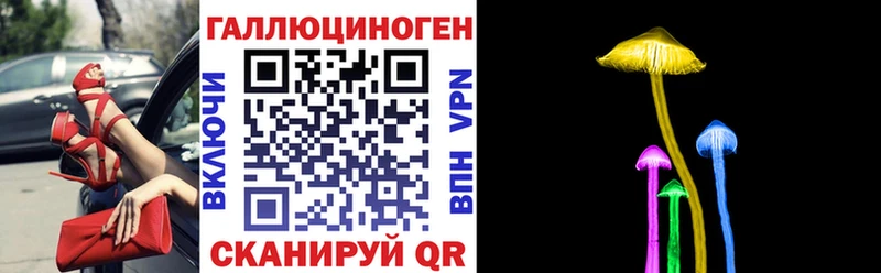 Псилоцибиновые грибы Cubensis  Судогда 