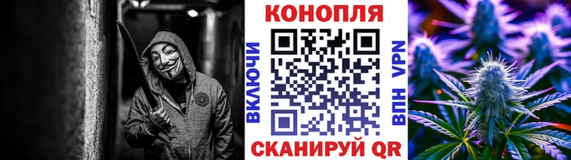 Шишки марихуана семена Судогда